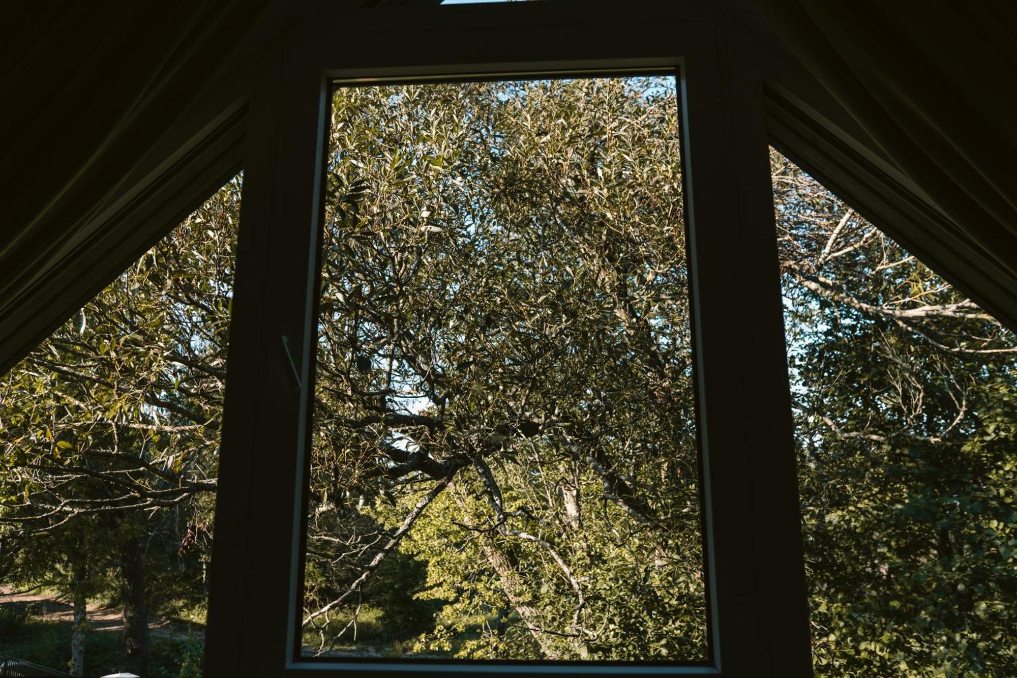 Czas Na Las Zarnowska Exterior foto